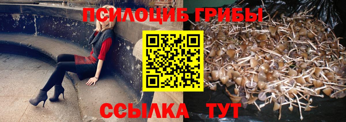 Галлюциногенные грибы GOLDEN TEACHER Минеральные Воды