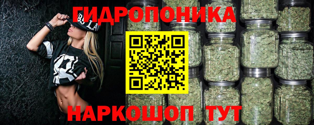МАРИХУАНА план Минеральные Воды